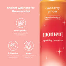 Moment Botanical Water: Cranberry Ginger